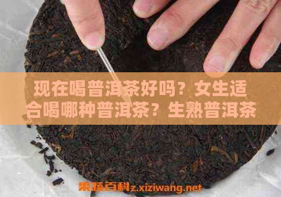 现在喝普洱茶好吗？女生适合喝哪种普洱茶？生熟普洱茶有什么区别？