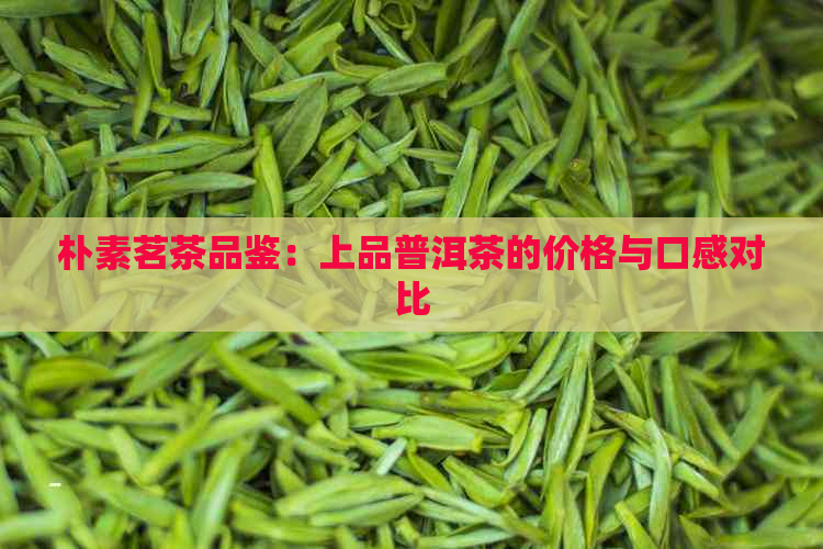 朴素茗茶品鉴：上品普洱茶的价格与口感对比