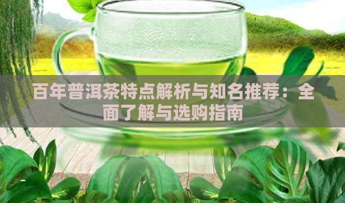 百年普洱茶特点解析与知名推荐：全面了解与选购指南