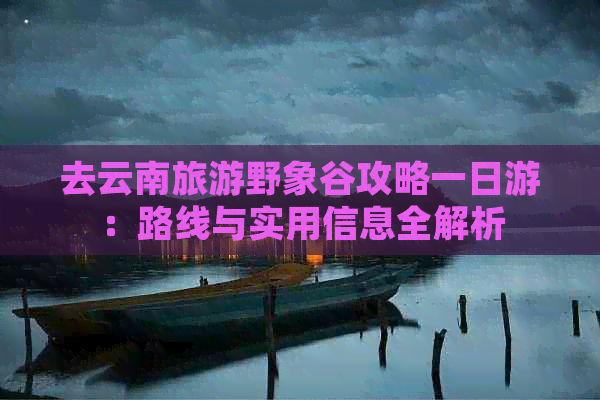 去云南旅游野象谷攻略一日游：路线与实用信息全解析