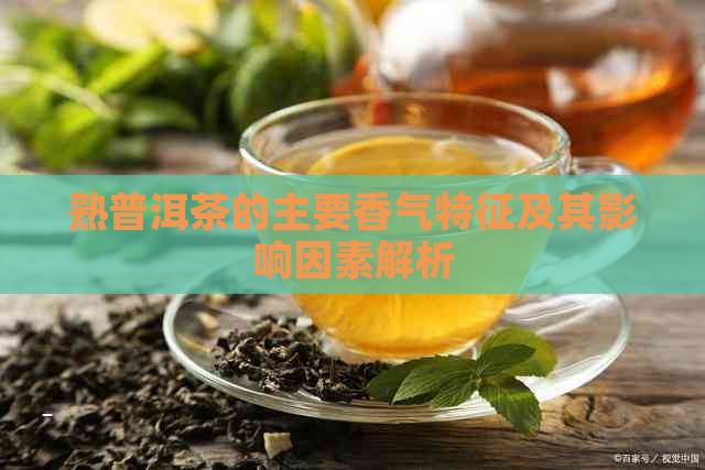 熟普洱茶的主要香气特征及其影响因素解析