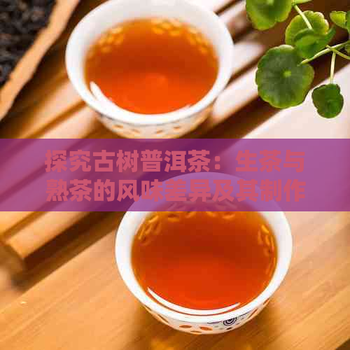 探究古树普洱茶：生茶与熟茶的风味差异及其制作过程