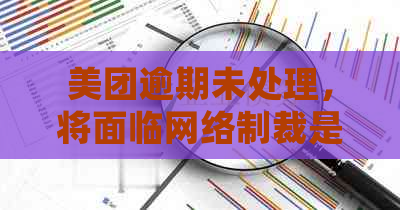 美团逾期未处理，将面临网络制裁是真的吗？