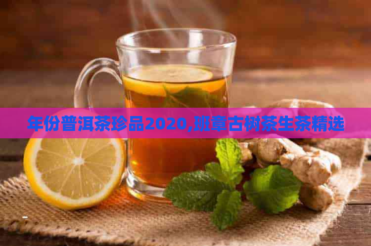 年份普洱茶珍品2020,班章古树茶生茶精选