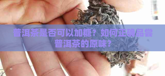 普洱茶是否可以加糖？如何正确品尝普洱茶的原味？