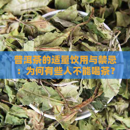 普洱茶的适量饮用与禁忌：为何有些人不能喝茶？