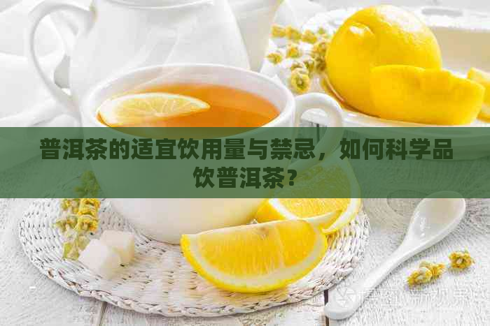 普洱茶的适宜饮用量与禁忌，如何科学品饮普洱茶？