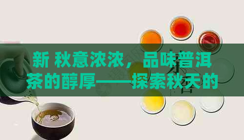 新 秋意浓浓，品味普洱茶的醇厚——探索秋天的普洱茶之旅