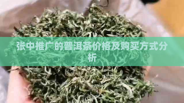 张中推广的普洱茶价格及购买方式分析