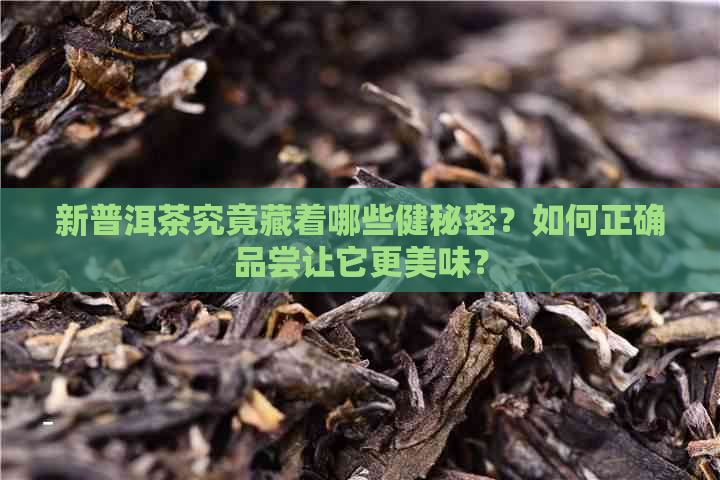 新普洱茶究竟藏着哪些健秘密？如何正确品尝让它更美味？