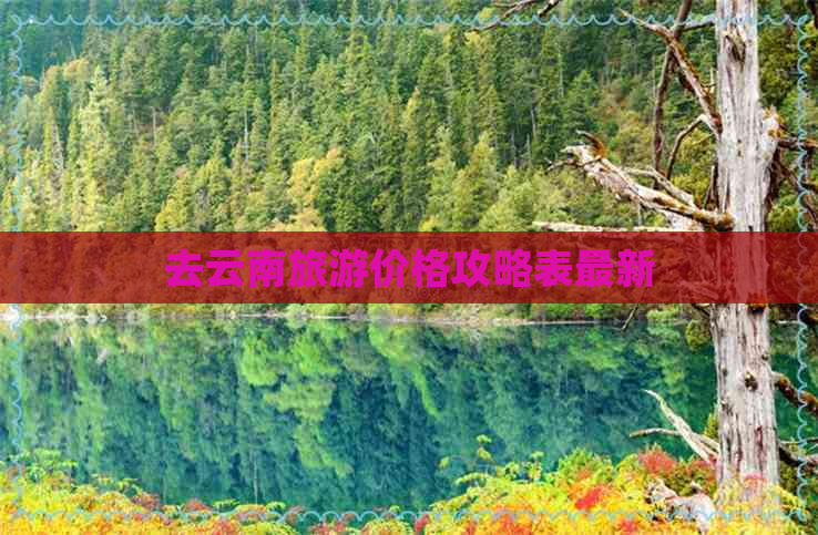 去云南旅游价格攻略表最新