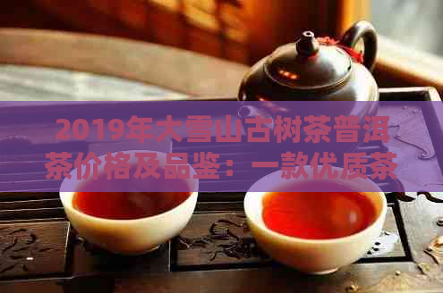 2019年大雪山古树茶普洱茶价格及品鉴：一款优质茶叶的市场表现和购买指南