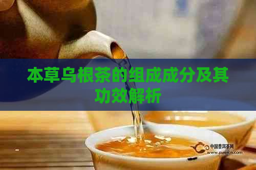 本草乌根茶的组成成分及其功效解析