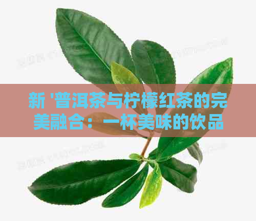 新 '普洱茶与柠檬红茶的完美融合：一杯美味的饮品探究'