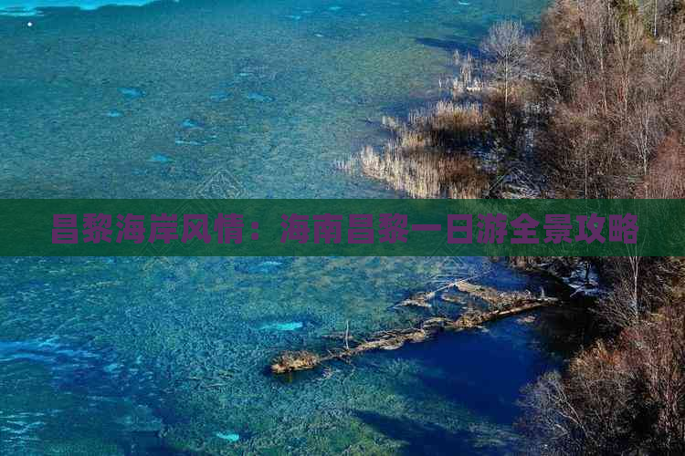 昌黎海岸风情：海南昌黎一日游全景攻略