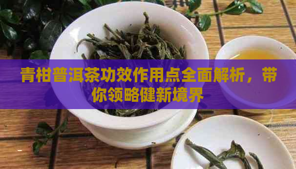 青柑普洱茶功效作用点全面解析，带你领略健新境界