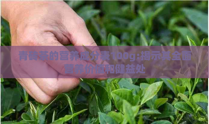 青砖茶的营养成分表100g:揭示其全面营养价值和健益处