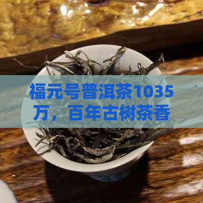 福元号普洱茶1035万，百年古树茶香溢价惊人