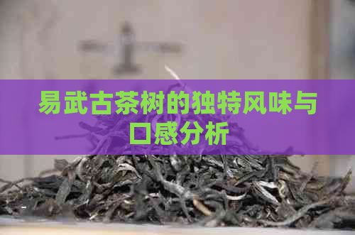 易武古茶树的独特风味与口感分析