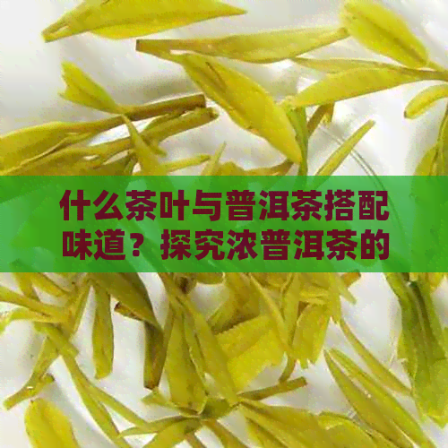 什么茶叶与普洱茶搭配味道？探究浓普洱茶的搭配茶叶选择