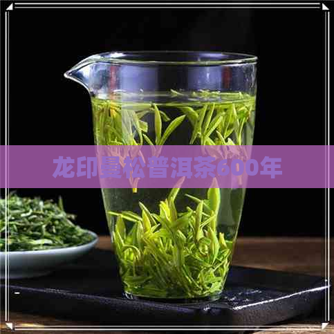 龙印曼松普洱茶600年