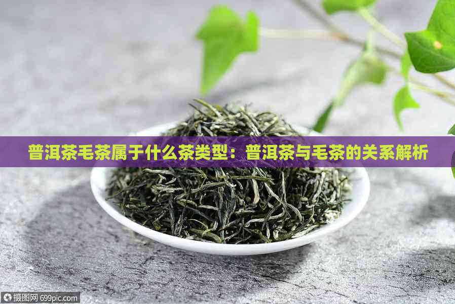 普洱茶毛茶属于什么茶类型：普洱茶与毛茶的关系解析