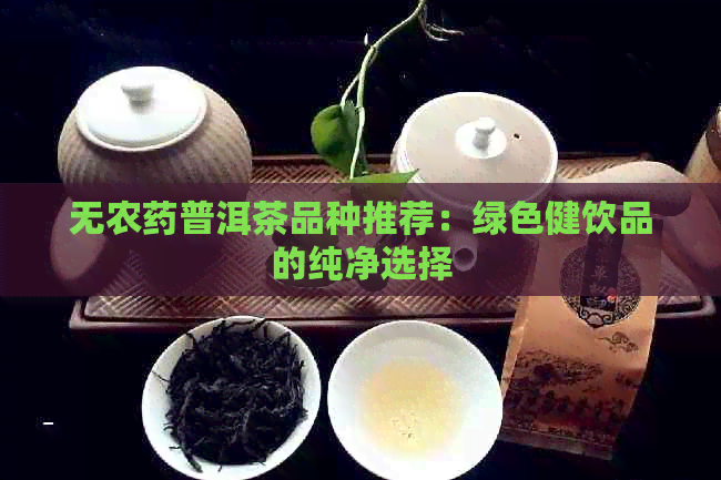 无农药普洱茶品种推荐：绿色健饮品的纯净选择