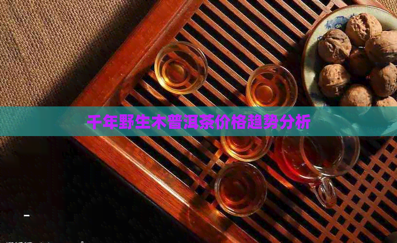 千年野生木普洱茶价格趋势分析