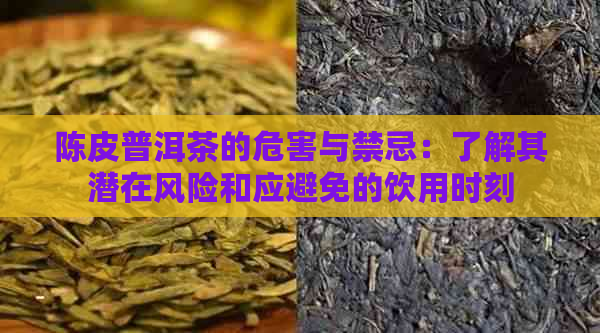 陈皮普洱茶的危害与禁忌：了解其潜在风险和应避免的饮用时刻