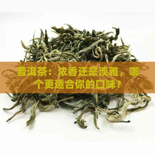 普洱茶：浓香还是淡雅，哪个更适合你的口味？