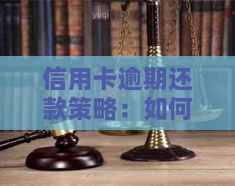 信用卡逾期还款策略：如何避免罚息和信用损害？