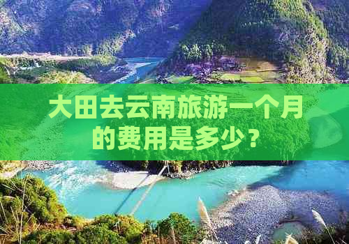 大田去云南旅游一个月的费用是多少？