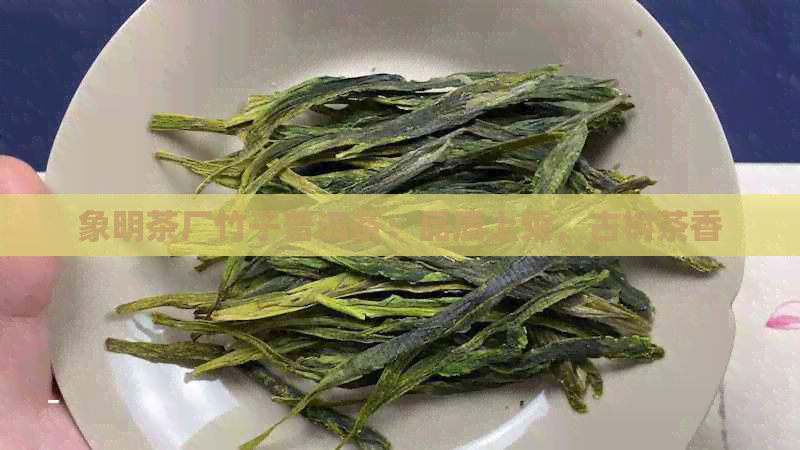 象明茶厂竹子普洱茶：品质上乘，古树茶香