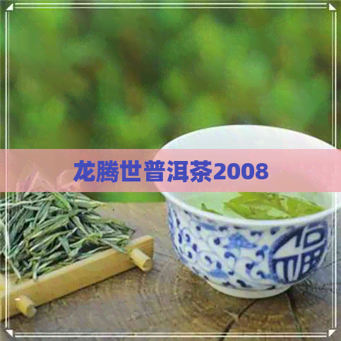 龙腾世普洱茶2008