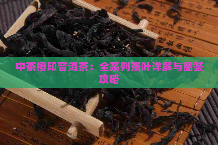 中茶橙印普洱茶：全系列茶叶详解与品鉴攻略