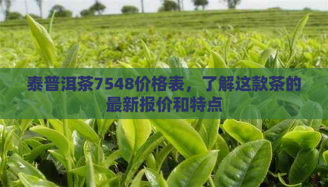 泰普洱茶7548价格表，了解这款茶的最新报价和特点