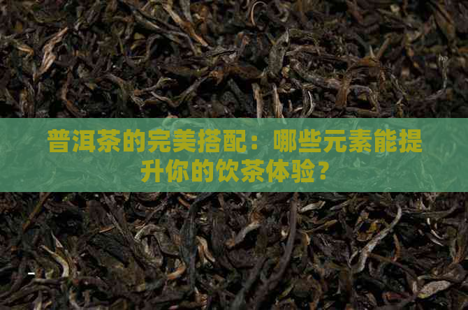 普洱茶的完美搭配：哪些元素能提升你的饮茶体验？