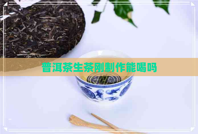 普洱茶生茶刚制作能喝吗