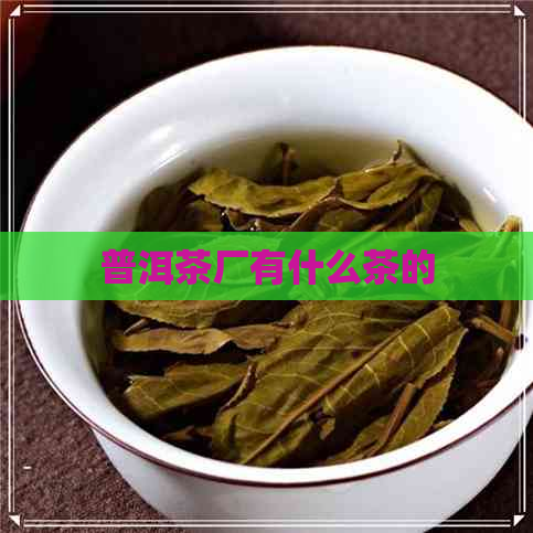 普洱茶厂有什么茶的