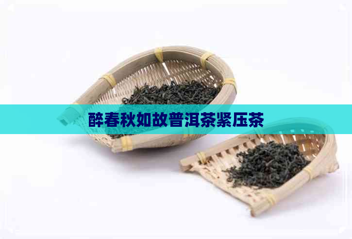 醉春秋如故普洱茶紧压茶