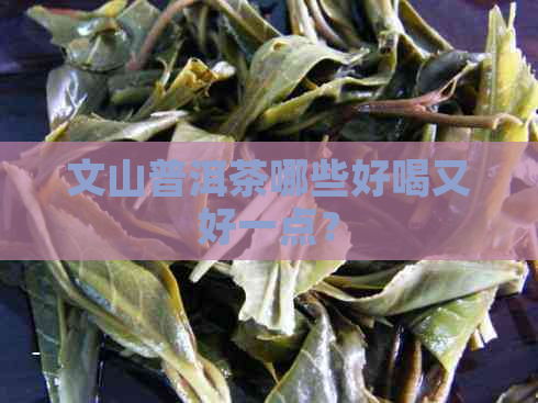 文山普洱茶哪些好喝又好一点？