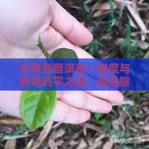 中茶熟普洱茶：甜度与苦味的平之道，选购指南与品鉴技巧