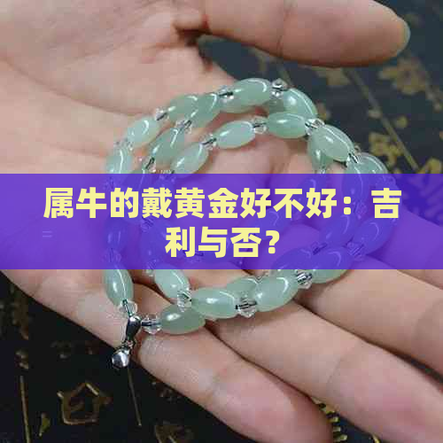 属牛的戴黄金好不好：吉利与否？