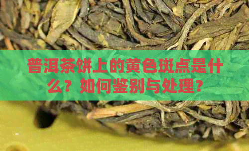 普洱茶饼上的黄色斑点是什么？如何鉴别与处理？