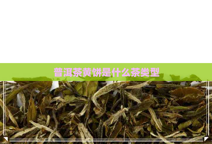 普洱茶黄饼是什么茶类型