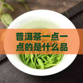 普洱茶一点一点的是什么品种：探究普洱茶一点一点的来源及品种特点