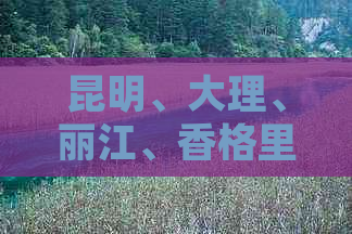 昆明、大理、丽江、香格里拉——太原至云南精品旅游线路