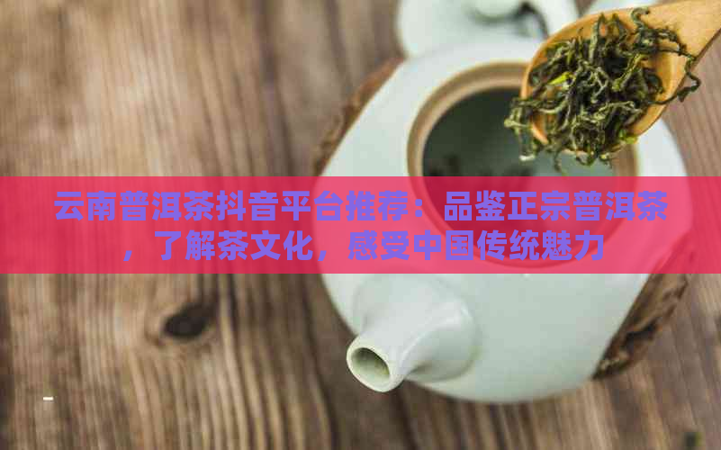 云南普洱茶抖音平台推荐：品鉴正宗普洱茶，了解茶文化，感受中国传统魅力