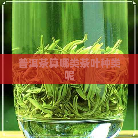 普洱茶算哪类茶叶种类呢