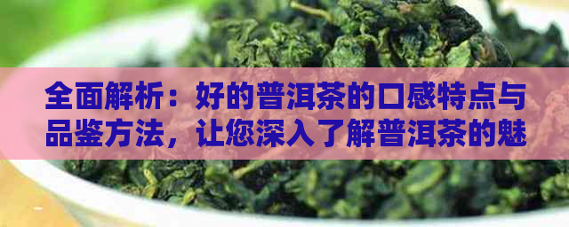 全面解析：好的普洱茶的口感特点与品鉴方法，让您深入了解普洱茶的魅力